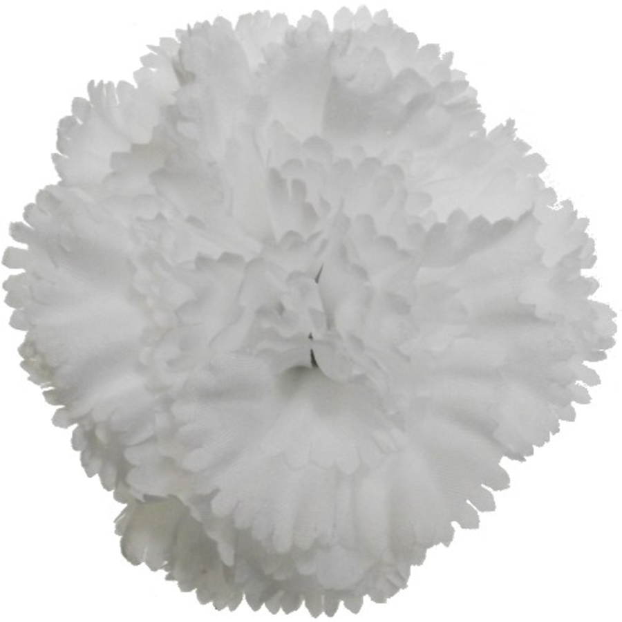 White carnations store