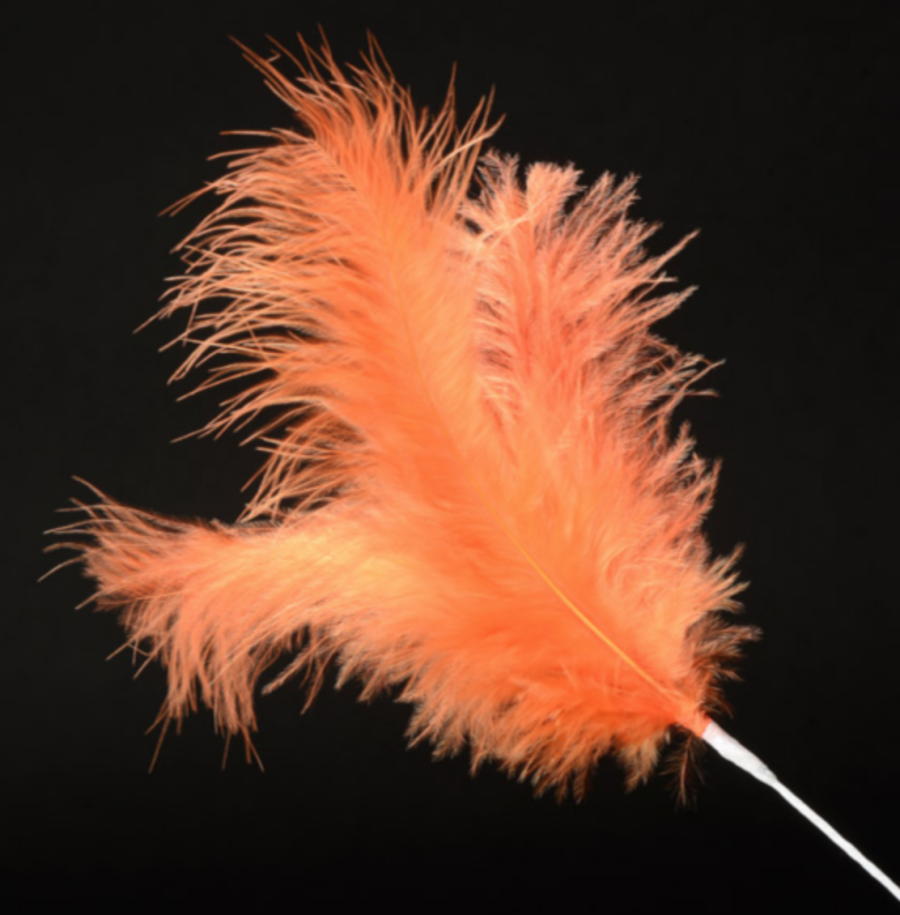 Ostrich feather sprays discount